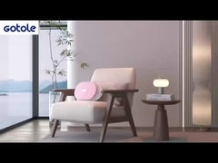 Massageur électrique de la taille avec minuterie pour la relaxation musculaire