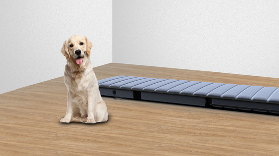 Contrôleur sans fil pliable pour matelas de massage infrarouge intelligent